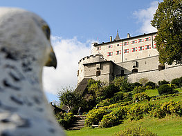 Hohenwerfen Fortress - view past a falcon statue to the linden meadow and the castle