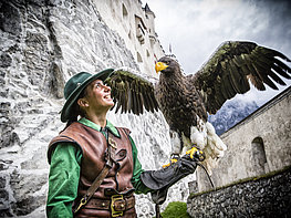 Erlebnisburg Hohenwerfen - Falkner mit Greifvogel am Handschuh im Freigelände auf der Lindenwiese